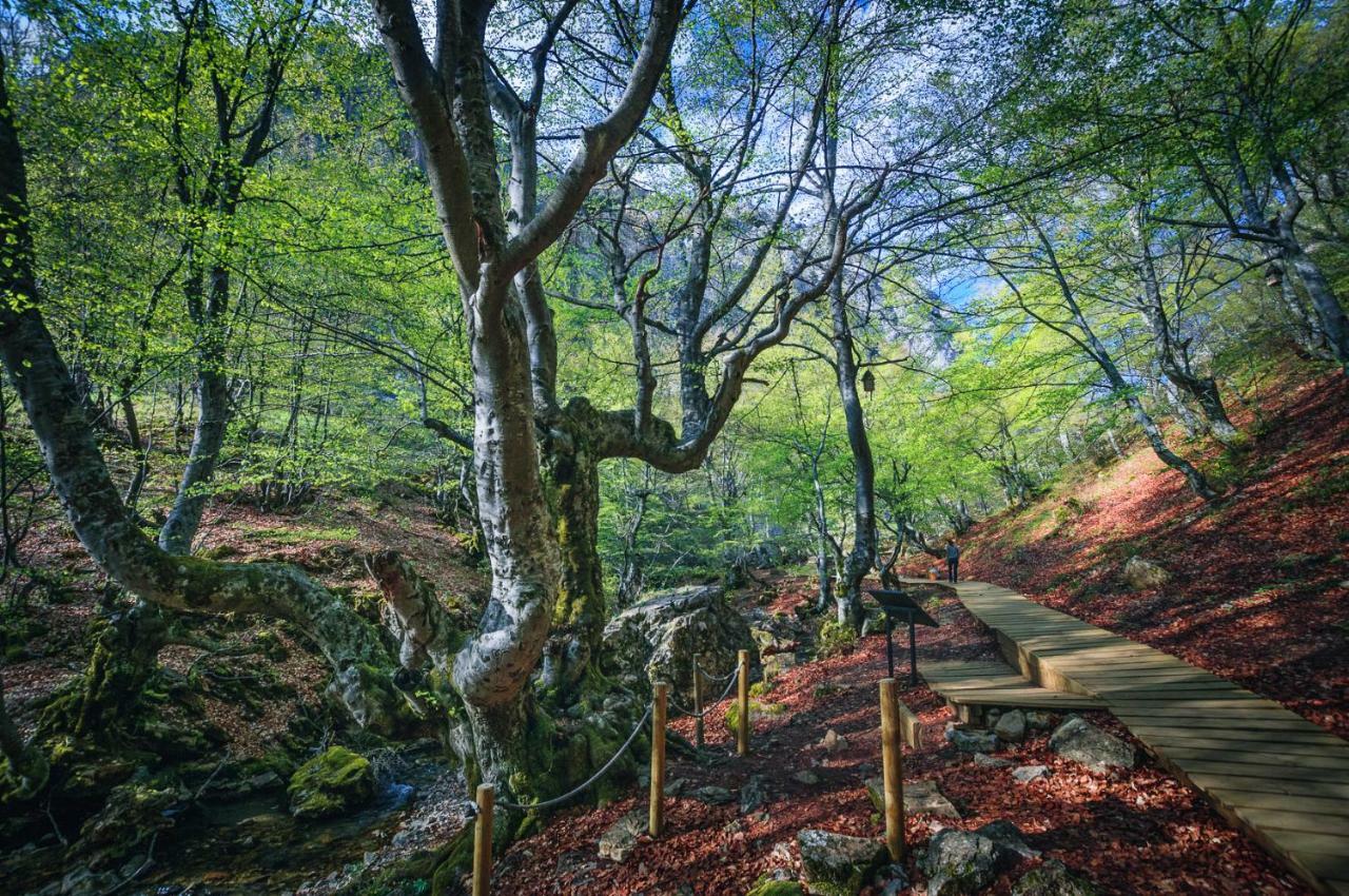 La Omañuela Aguas Frias III 빌라 외부 사진